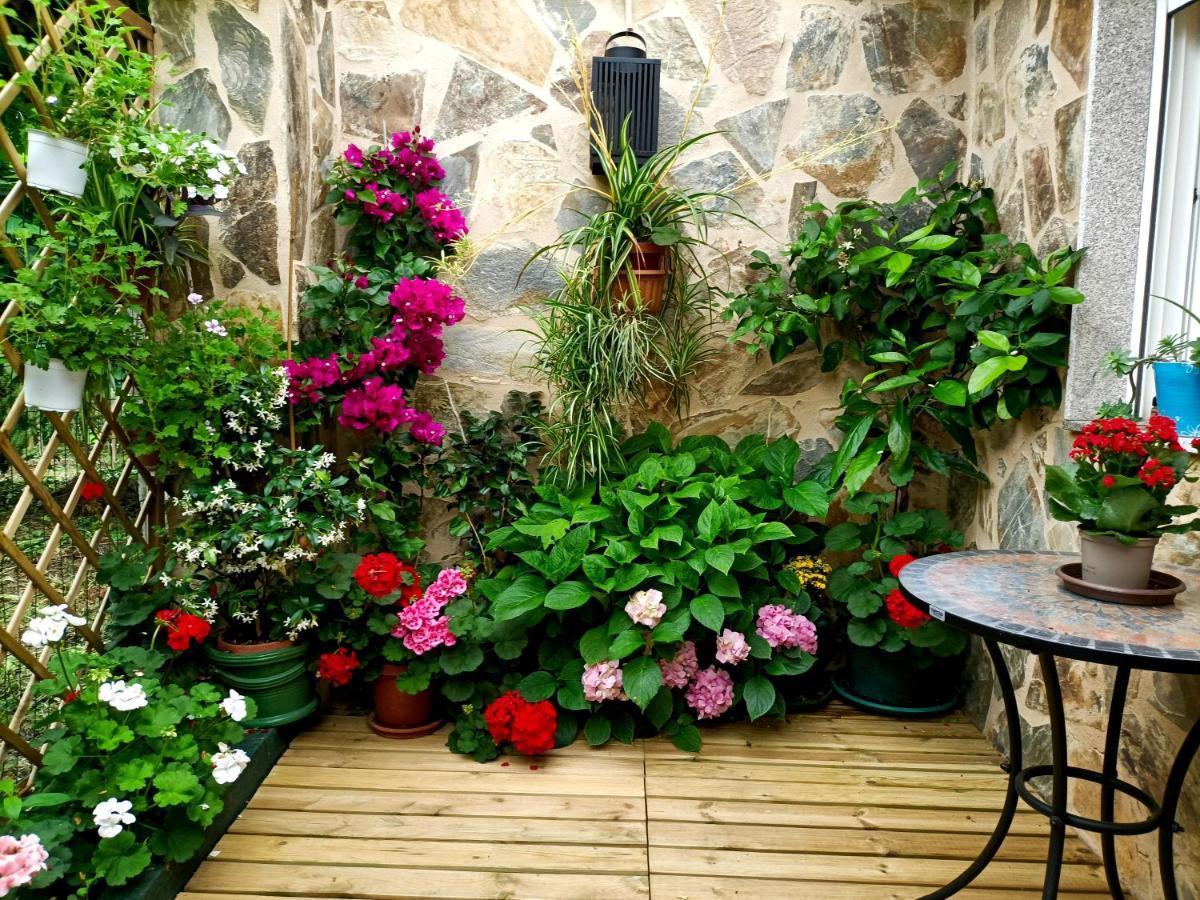 Casa Jardin Dom wakacyjny