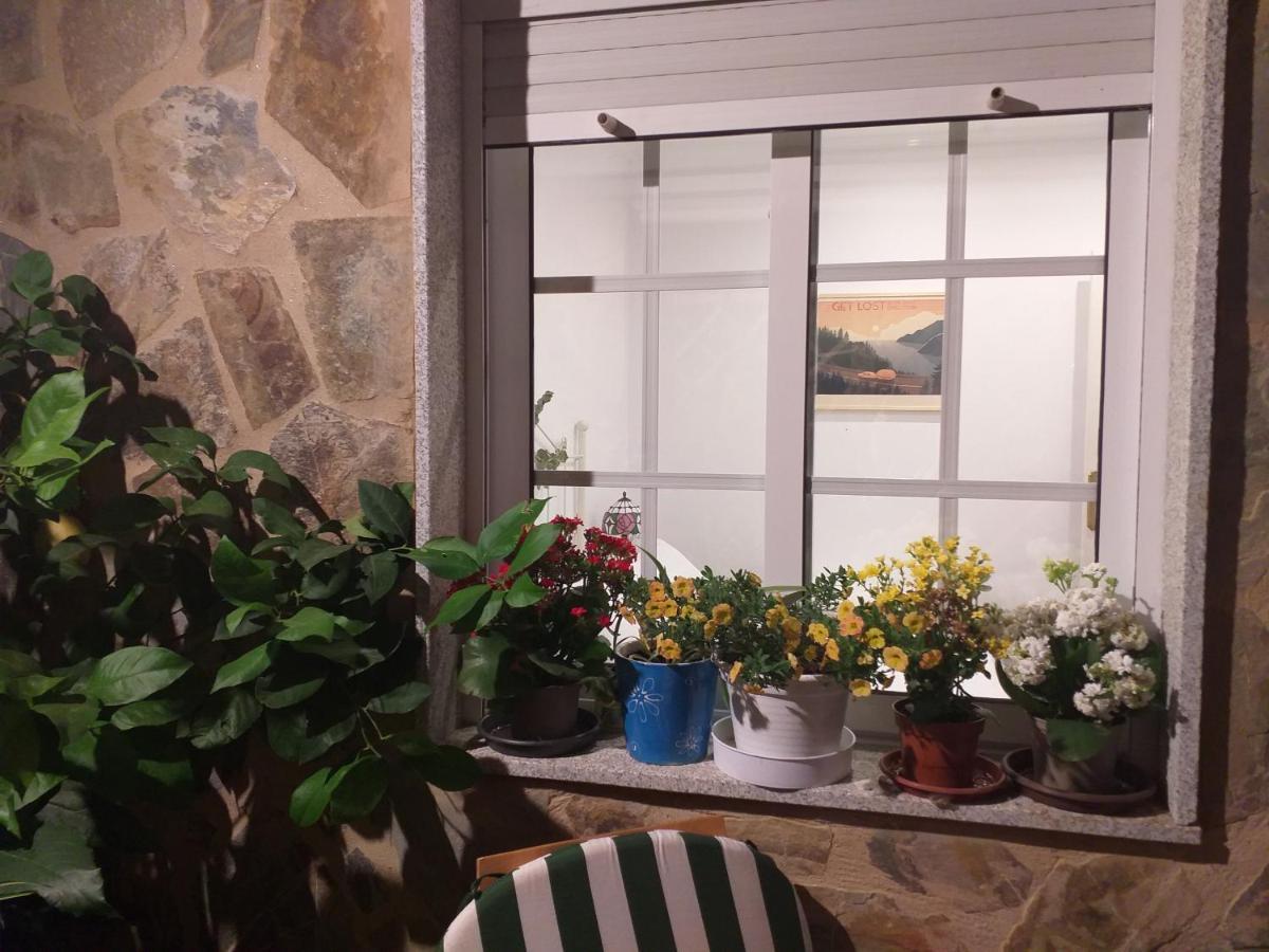 Casa Jardin